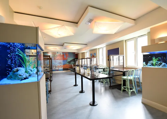 Kinlay Eyre SquareHostel